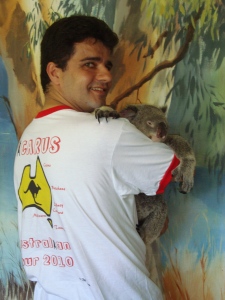 Koala con Picarus